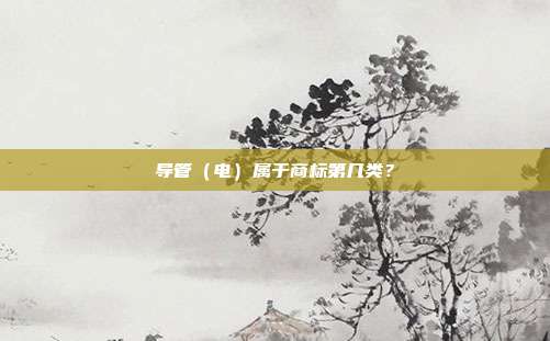 导管(电)属于商标第几类?