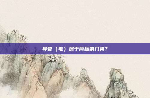 导管（电）属于商标第几类？