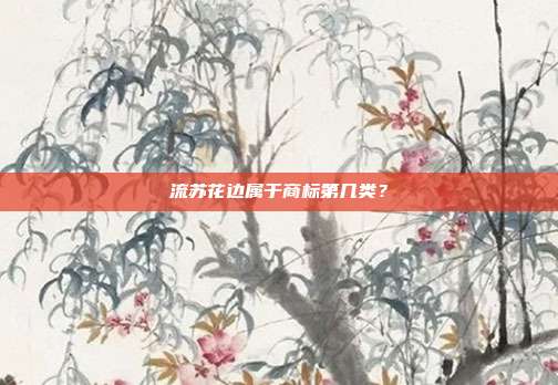 流苏花边属于商标第几类?