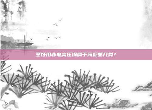 烹饪用非电高压锅属于商标第几类?