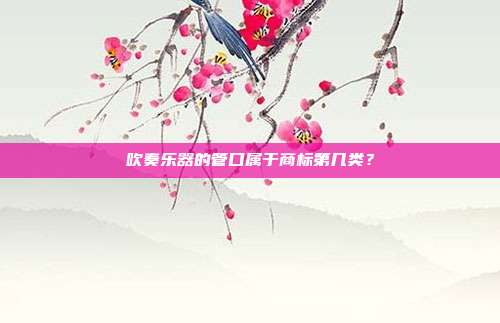 吹奏乐器的管口属于商标第几类？