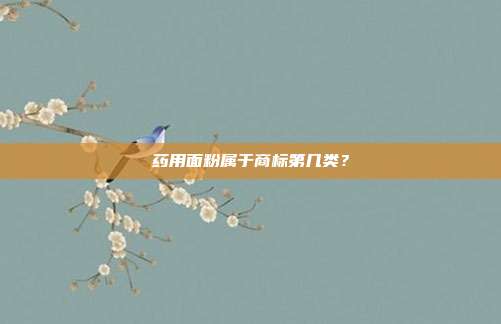 药用面粉属于商标第几类？