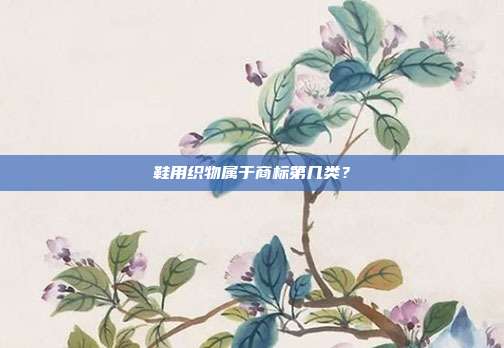 鞋用织物属于商标第几类？