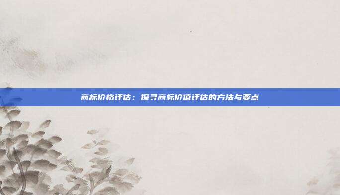 商标价格评估:探寻商标价值评估的方法与要点