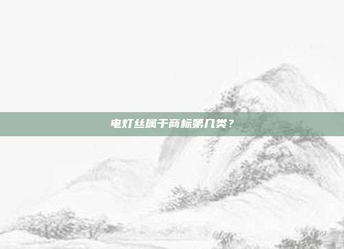 电灯丝属于商标第几类?