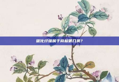 硫化纤维属于商标第几类?
