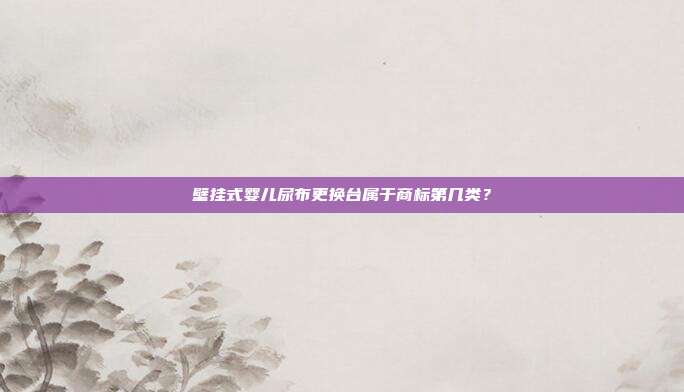 壁挂式婴儿尿布更换台属于商标第几类?