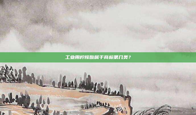 工业用柠檬酸属于商标第几类？