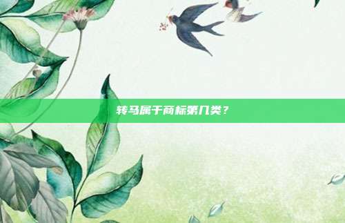 转马属于商标第几类？