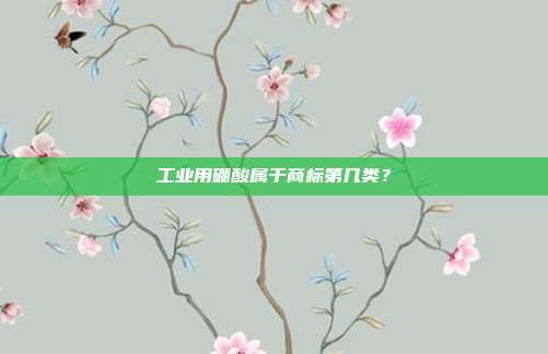 工业用硼酸属于商标第几类？