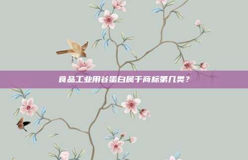 食品工业用谷蛋白属于商标第几类？