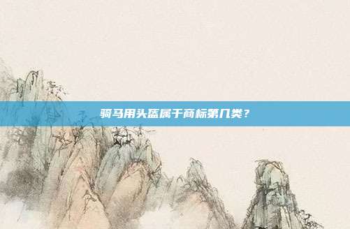 骑马用头盔属于商标第几类?