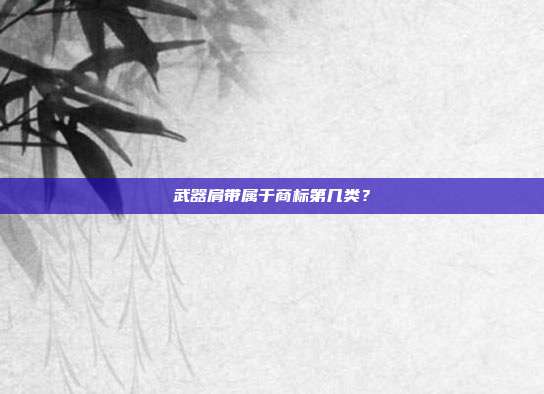武器肩带属于商标第几类？