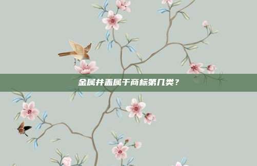 金属井盖属于商标第几类？