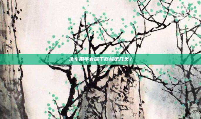 洗车用手套属于商标第几类?