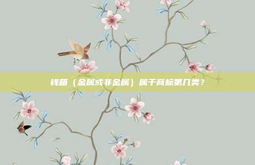 钱箱（金属或非金属）属于商标第几类？