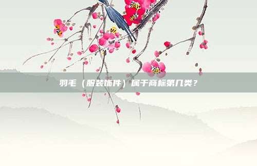 羽毛(服装饰件)属于商标第几类?