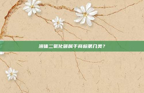液体二氧化碳属于商标第几类?