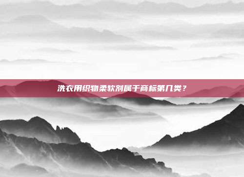 洗衣用织物柔软剂属于商标第几类？