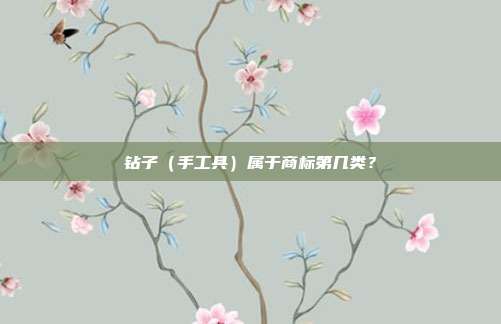 钻子（手工具）属于商标第几类？