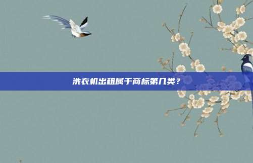 洗衣机出租属于商标第几类?