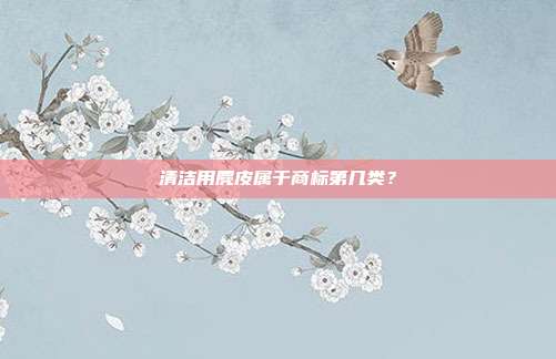 清洁用麂皮属于商标第几类？