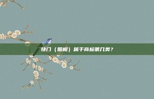 快门(照相)属于商标第几类?