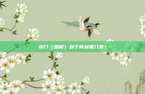 快门（照相）属于商标第几类？