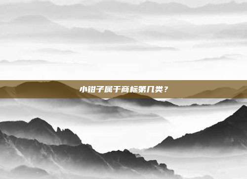 小钳子属于商标第几类?