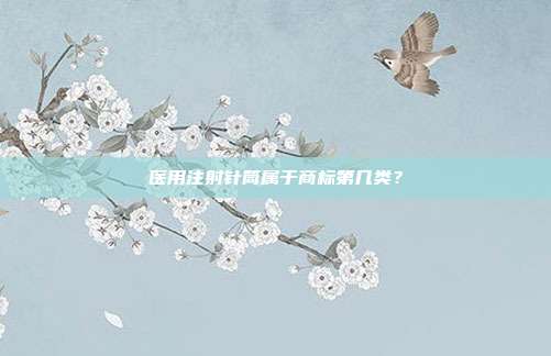 医用注射针筒属于商标第几类?