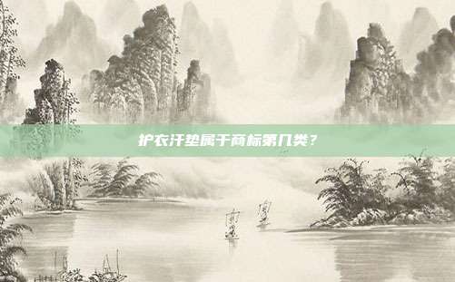 护衣汗垫属于商标第几类？