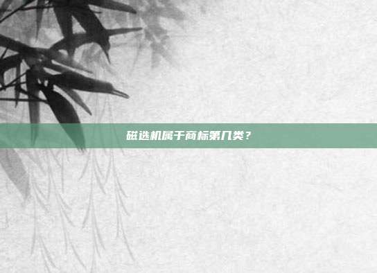 磁选机属于商标第几类？