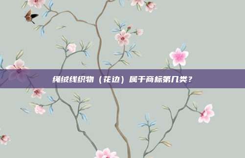 绳绒线织物（花边）属于商标第几类？