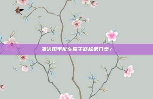 清洁用手推车属于商标第几类？