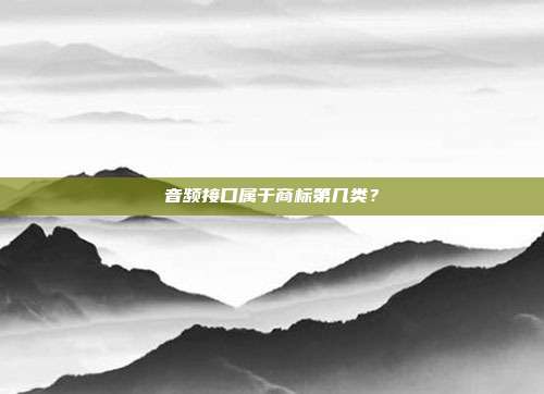 音频接口属于商标第几类？