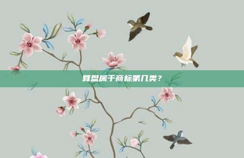 算盘属于商标第几类？