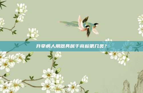 升举病人用器具属于商标第几类？
