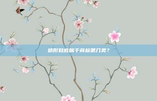 矫形鞋底属于商标第几类?