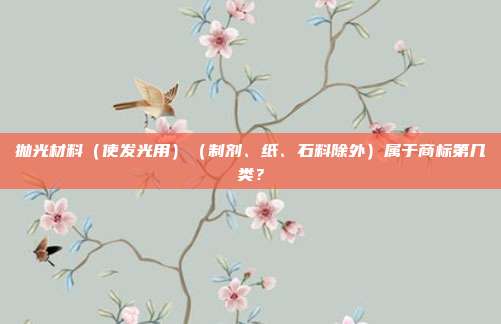 抛光材料（使发光用）（制剂、纸、石料除外）属于商标第几类？