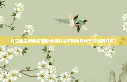 真空吸尘器用喷洒香水和消毒液的附件属于商标第几类？