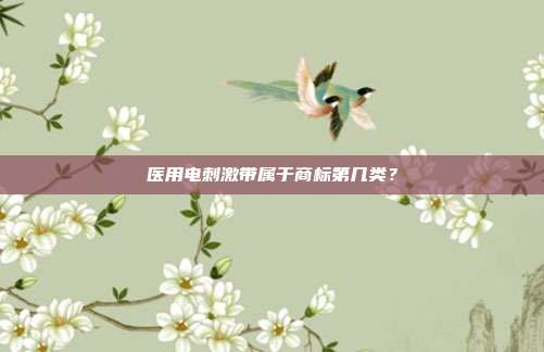 医用电刺激带属于商标第几类？