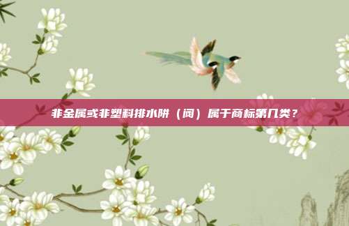非金属或非塑料排水阱（阀）属于商标第几类？
