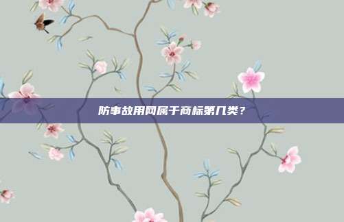 防事故用网属于商标第几类？