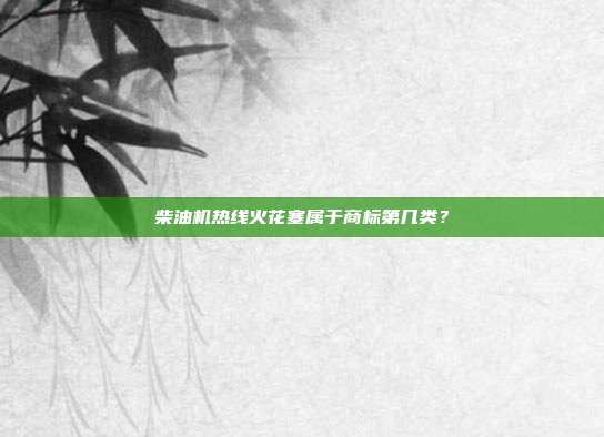 柴油机热线火花塞属于商标第几类?