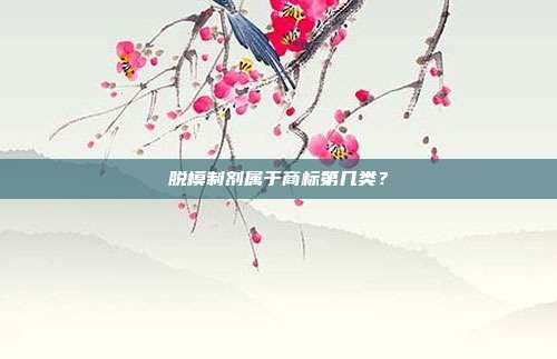 脱模制剂属于商标第几类？