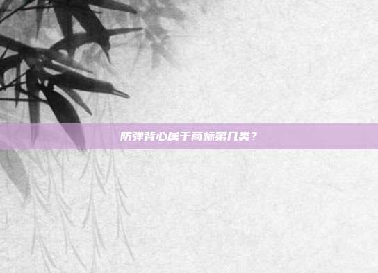 防弹背心属于商标第几类？