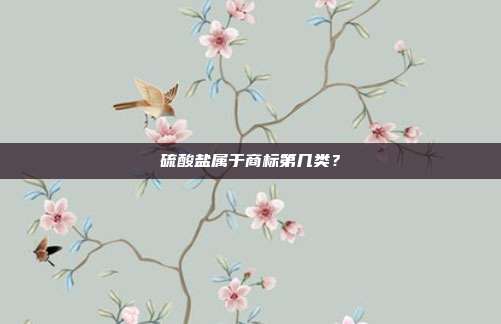 硫酸盐属于商标第几类？