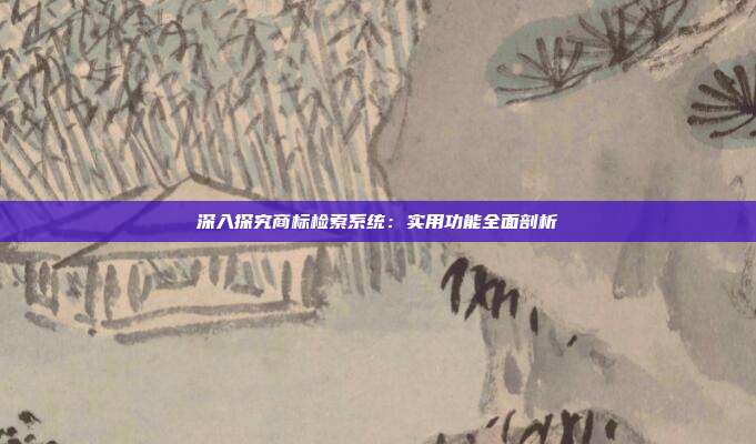 深入探究商标检索系统:实用功能全面剖析