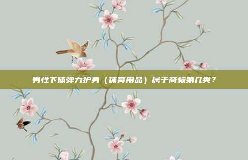 男性下体弹力护身(体育用品)属于商标第几类?