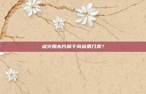 点火用木片属于商标第几类?